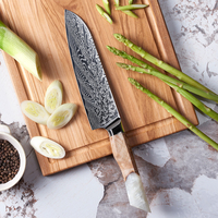 Ensemble de couteaux de cuisine Santoku de chef en acier Damas professionnel de luxe avec manche en résine de qualité