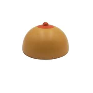 Jouet d'organe humain <span class=keywords><strong>anti</strong></span>-<span class=keywords><strong>stress</strong></span> en mousse PU personnalisable pour les filles et les garçons Outil médical - Product Image 2