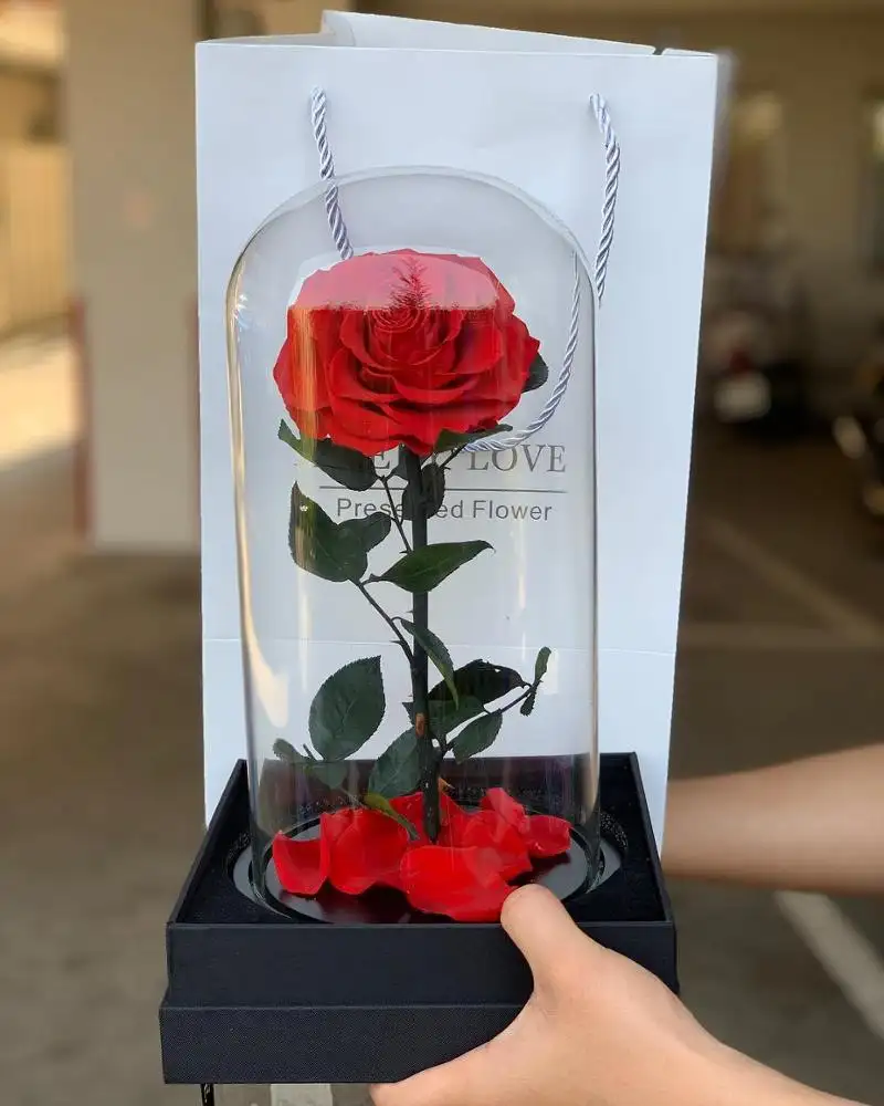 Rose éternelle sous dôme de verre, fleurs, objet artisanal, pour mariage, nouvelle collection