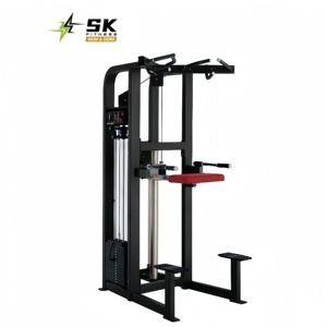 Fabricante de Equipos de Gimnasio Comerciales SK: Producción de Máquinas de Levantamiento de Pesas con Selección de Carga por Pin y Asistencia para Dip y Pull-up - Product Image 1