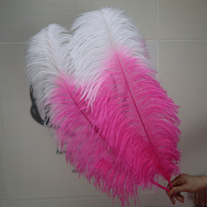 Lông đà điểu trắng nhân tạo lớn 15-80cm, số lượng lớn, trang trí tiệc cưới, lễ hội, thủ công, nhuộm màu tự nhiên, giá rẻ - Product Image 6