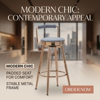 Chaises de bar confortables et durables de style populaire, respectueuses de l'environnement, design moderne, fourniture directe d'usine, vente en gros, chaise de bar de luxe