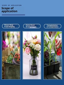 Holland <span class=keywords><strong>Koli</strong></span> Professional No. 2 Solution nutritive Fleuriste de conservation de la fraîcheur Organisateur de fleurs universel pour jardins - Product Image 5