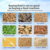 OEM Fabriek Kleine Voorraad Pellets Productie Platte Matrijs Dierenvoer Pelletmachine Voeder Pelletiseermachine