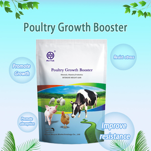 สารเสริมอาหารสัตว์ปีก พรีมิกซ์ ช่วยเร่งการเจริญเติบโต เพิ่มน้ำหนัก - Product Image 2