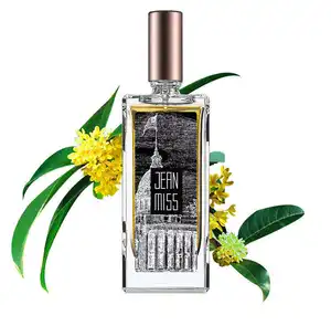 Private Label Ladies Perfume Brand Designers Allure Women Perfumes Original Branded Girl Body Spray Fragrance Perfume