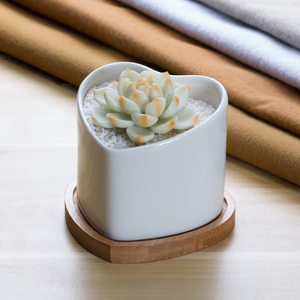 Vaso in Ceramica Bianca a Forma di Cuore Personalizzato per <span class=keywords><strong>Piante</strong></span> Succulente - Product Image 1