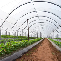 Serre polytunnel en promotion, couverture en film plastique, serre économique multi-travées pour la culture des myrtilles à vendre