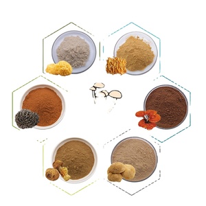 Extracto de Hongo Shiitake en Polvo con Alfa Glucano Acondicionado de Grado Alimenticio para Mejorar la Inmunidad, 30% Alfa Glucano, Envasado al Vacío, Orgánico - Product Image 2