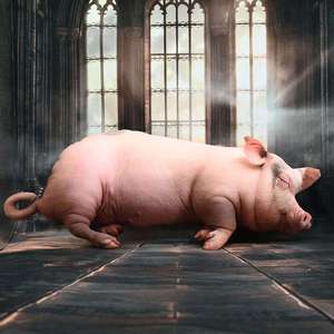 San Shun Pig <b>Plush</b> Pillow Realistic Soft Toy For Children Birthday Gift 5 To 7 Years Unisex - Product Image 1