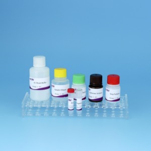 울퉁불퉁 한 피부병 ELISA 키트 | 96T 소 LSDV 항체 검사 | 소에 대한 수의학 진단 키트 - Product Image 6