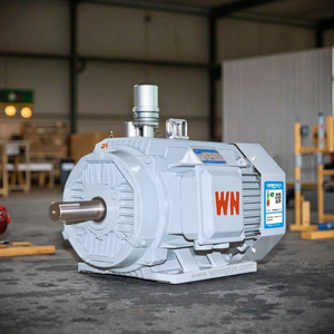 Motore Asincrono Trifase Serie YE5 di Wannan Industry, Best-Seller |   Bobina in Rame Pieno |   Gamma Completa Personalizzabile - Product Image 1