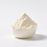 Biochealth GMP OEM Marque Privée Poudre de Protéine Végétalienne Poudre de Protéine de Lactosérum Suppléments d'Acides Aminés BCAA