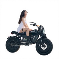 Vélo électrique de style nouveau 1500W 3000W 48V 30AH 60AH avec pneus larges, vélo électrique de montagne, de neige et de ville
