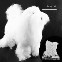 Perruques synthétiques en fourrure pour chien, pour entraînement et toilettage de caniches, emballées sous vide, modèle squelette de chien, vente en gros directe usine, stable