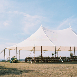Wedding Tents Aluminum Heavy Duty Carpas Para Eventos Commercial Event Tent Luxury White Marquee Structure Party Tent For Event - Product Image 6