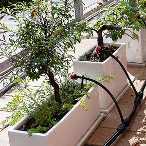 <span class=keywords><strong>Goutteur</strong></span> d'irrigation micro-<span class=keywords><strong>goutteur</strong></span> rouge <span class=keywords><strong>réglable</strong></span> à 8 trous pour tuyau de 1/4 pouce - Product Image 4