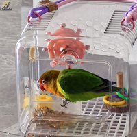 Cage de transport portable en plastique transparent pour perroquets, cage de voyage extérieure pour calopsites, perruches, agapornis et petits oiseaux