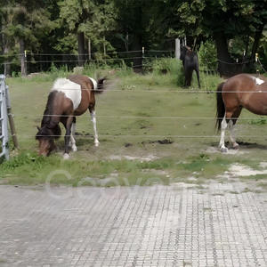 Grilles de drainage en PP <span class=keywords><strong>pour</strong></span> allées modernes avec remplissage de terre et de <span class=keywords><strong>gravier</strong></span> - Product Image 4