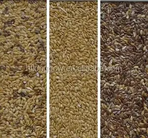 Macchina per la selezione del colore del caffè in grani di arachidi a prezzo più favorevole macchina per lo smistamento del grano del selezionatore di colore del riso ad alta precisione