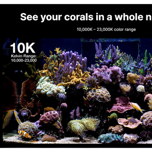 RedSea ReefLED serie G2 nueva versión Smart WIFI <span class=keywords><strong>Coral</strong></span> acuario agua salada luz <span class=keywords><strong>Mar</strong></span> Rojo G2 60 115 170 - Product Image 4