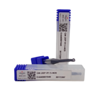ZCC End Mill GM-2BP-R0.75-M10 GM-2BP-R0.75-M16 GM-2BP-R1.0-M06 GM-2BP-R1.0-M12 2-Pisau