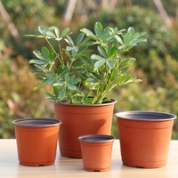 Petits pots de semis en plastique simples et en vrac pour plantes, en PP, avec ventilation des racines et drainage, pour la culture de roses, micro-légumes et légumes, pour usage agricole