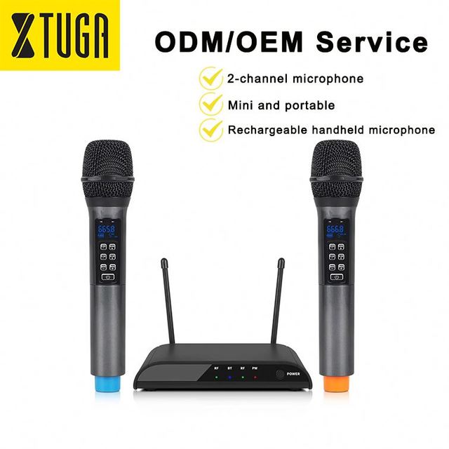 XTUGA DX02 Hot Sale 2 Channel Dynamic UHF Wireless Microphone System XLR 50m Rechargeable Handheld Design Performance Karaoke
