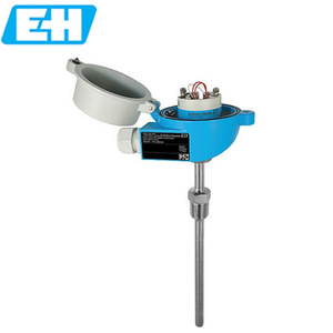 Detector de Temperatura por Resistencia E+H TR10-ABD3BGS5C2000 -50 a 400 Grados Celsius con Sensor de Platino - Product Image 4