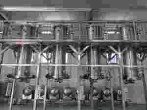 Chăm sóc sức khỏe bổ sung thực phẩm lớp Apigenin 98% tinh khiết tự nhiên chiết xuất Thảo Dược Vitamin cần tây Chiết xuất hạt bột số lượng lớn - Product Image 3