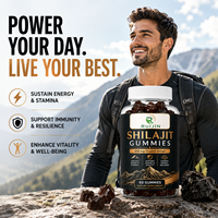 Gummies de pectine de Shilajit de l'Himalaya OEM Ruijin 600mg pour adultes, soutien immunitaire, saveur framboise