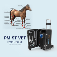 Système de magnétothérapie PMST NEO PEMF mobile sur chariot pour la rééducation des chevaux