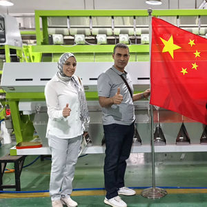 Máquina Clasificadora de Color de Trigo WYCS10-640 de 10 Canales para Trigo y Cebada en Línea de Procesamiento de Granos - Product Image 1