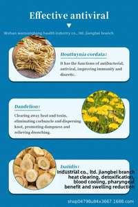 <span class=keywords><strong>Tisane</strong></span> NutriCha: Supporto Diretto dalla Fabbrica, Dropshipping Personalizzabile, Tisana Naturale Artigianale Premium di Grado AA all'Eucalipto - Product Image 5