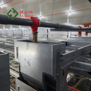 Comedero Automático <span class=keywords><strong>para</strong></span> <span class=keywords><strong>Pollos</strong></span> <span class=keywords><strong>de</strong></span> Alta Eficiencia a Precio Económico, Equipo <span class=keywords><strong>de</strong></span> Avicultura, Jaula <span class=keywords><strong>para</strong></span> <span class=keywords><strong>Pollos</strong></span> <span class=keywords><strong>de</strong></span> Engorde <span class=keywords><strong>para</strong></span> 10000 <span class=keywords><strong>Pollos</strong></span> - Product Image 3