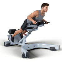 Chaise romaine professionnelle Dinuo de haute qualité pour entraînement de force, banc réglable 45 degrés pour abdominaux et hyperextension dorsale en métal
