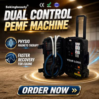 Appareil PEMF portable à double canal avec boucles papillon X-WINGS et tapis pour animaux de compagnie pour la thérapie des chevaux et des chiens