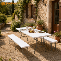 Ensemble table et banc de pique-nique pliables en plastique légers, robustes, peu encombrants et faciles à nettoyer pour jardin et cour arrière