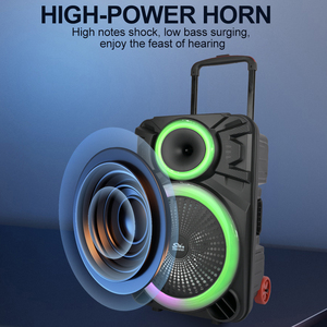 SING-E Zqs12121 Trung Quốc Các Nhà Sản Xuất Cung Cấp Tiêu Chuẩn Di Động Không Dây Mini Loa Không Dây Chuyên Nghiệp Xe Đẩy Loa OEM - Product Image 4