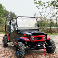 Mini jeep spacieux et confortable à 4 places, 300cc, Dune Buggy 4x4, Mini jeep Maximum