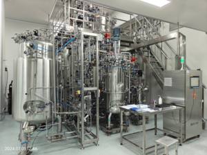 Biorreactores industriales para cultivo de tejidos bacterianos, agitador mecánico, fermentador de biorreactor de bacterias de acero inoxidable de 300L - Product Image 4