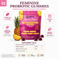 Gummies Probiotiques Féminines 2 Milliards UFC Bacillus Coagulans Orme Rouge Confort Digestif Flore Intestinale Bien-être Féminin OEM ODM