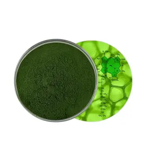 Sciencarin供应纯天然叶绿素提取物钠铜叶绿素粉100%