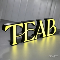 Offre Spéciale – Lettres LED 3D en Acrylique Personnalisées, Éclairées par l'Avant, Étanches IP65 pour Extérieur, Décoration Publicitaire pour Salon de Coiffure