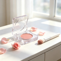 Palette de fards à paupières sans BPA, boîte plate carrée transparente pour maquillage, étui vide pour poudre de blush TH391