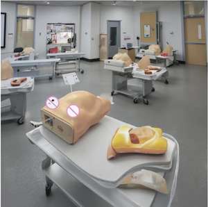 Infirmière formation Science médicale ordinateur modèle anatomique pour <span class=keywords><strong>femme</strong></span> <span class=keywords><strong>enceinte</strong></span> <span class=keywords><strong>femme</strong></span> <span class=keywords><strong>enceinte</strong></span> bassin <span class=keywords><strong>enceinte</strong></span> bassin féminin humain - Product Image 5