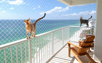 Filet anti-chat en gros, filet de sécurité pour balcon et fenêtre, résistant aux intempéries, facile à installer, filet anti-chat pour animaux de compagnie