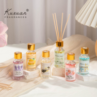 Mini Diffuseur à Bâtonnets 10ml, Diffuseur Mignon pour la Maison, Idéal pour le Voyage, Fraîcheur et Désodorisant, Assainisseur d'Air pour Chambre, Toilettes, Hôtel, Bureau