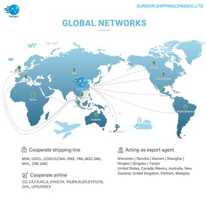 Dg Cargo Ddp Lcl + Trucking Service Shenzhen China Fba Magazijn Ottawa Omvat Douanetarieven Gevaarlijke Goederen Verzekering 24/7 - Product Image 6