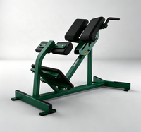 Équipement de musculation commercial REYK, banc d'extension dorsal Roman Chair - Cadre en acier réglable, design robuste et sûr